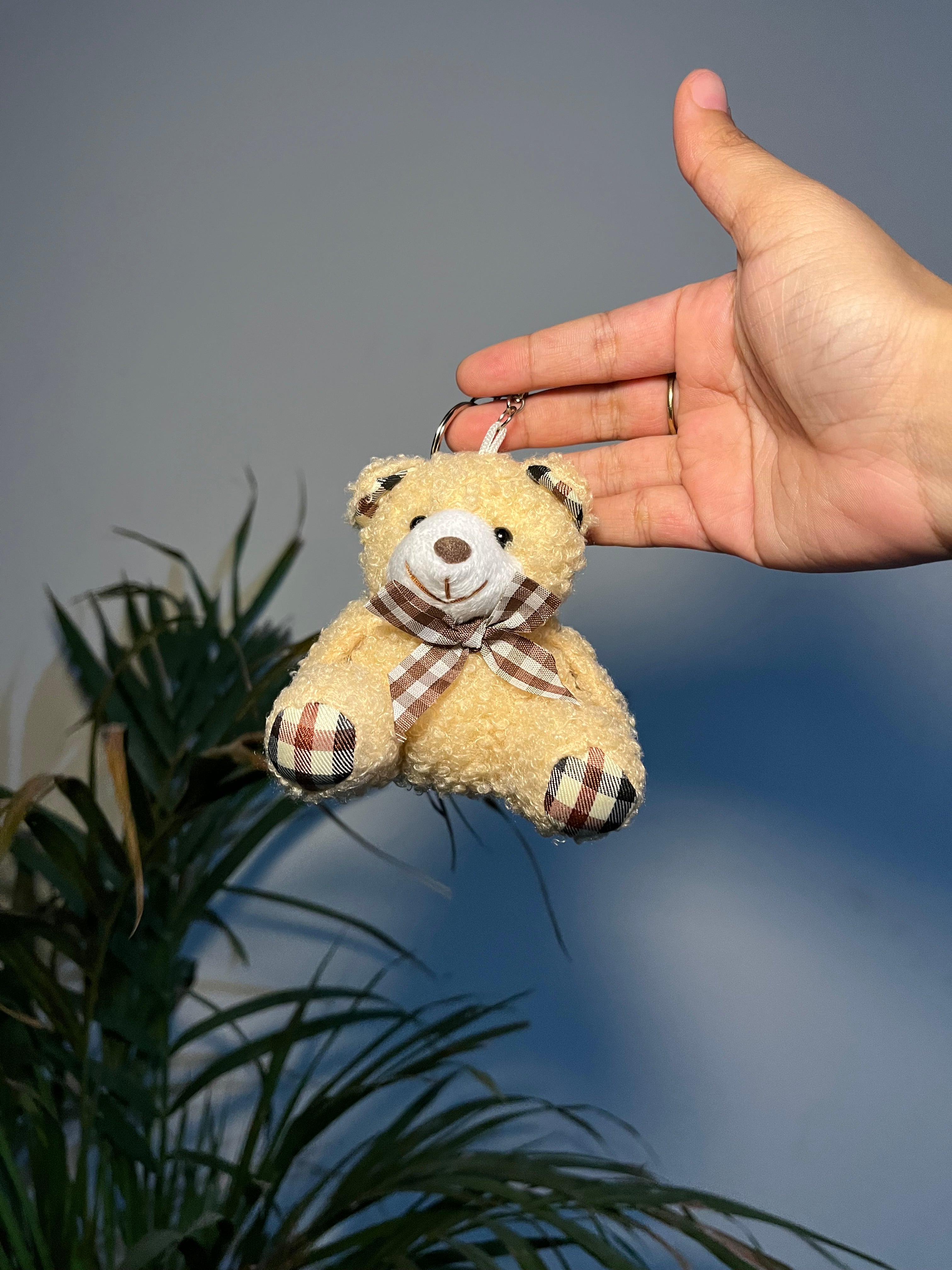 Teddy bear key chain / bag charm