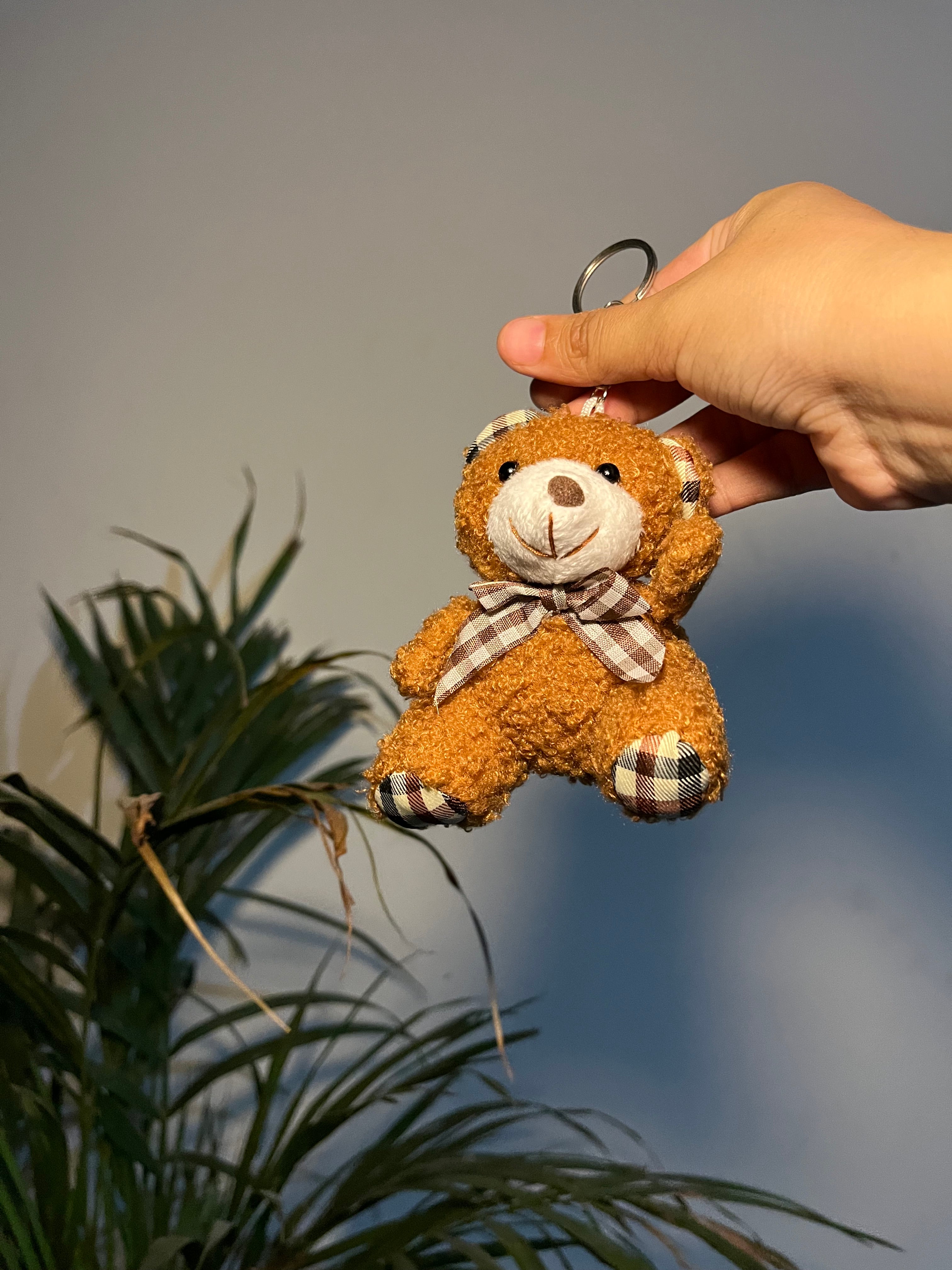 Teddy bear key chain / bag charm