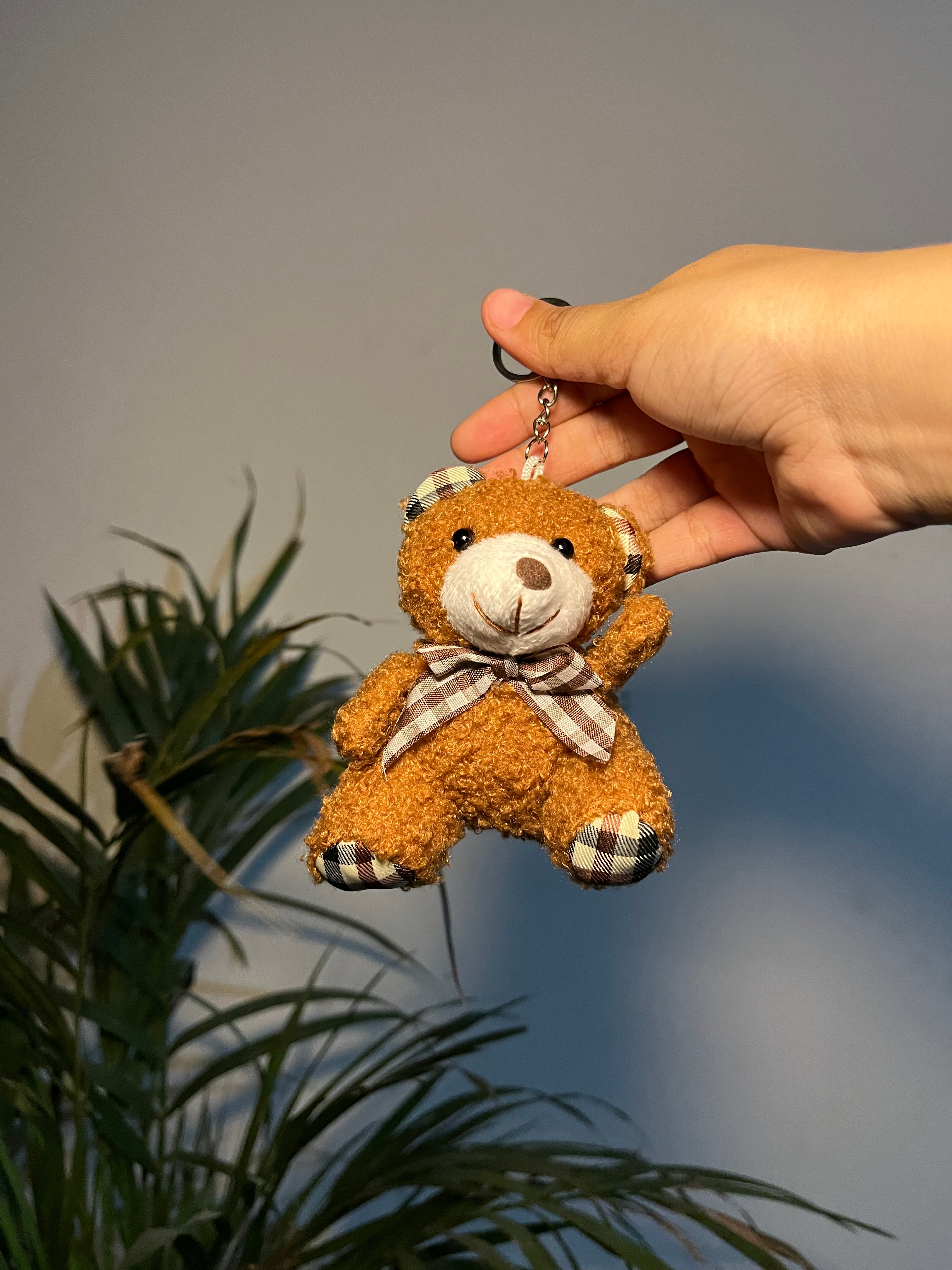 Teddy bear key chain / bag charm